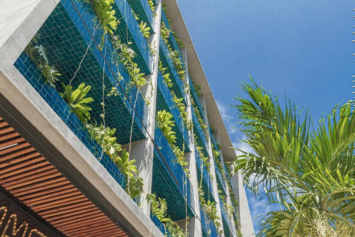 Magnificent In 5th Ave * Playa del Carmen